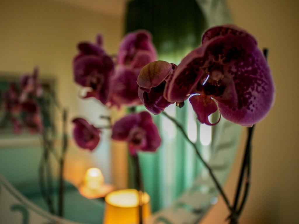 Blu Hotel San Nicola Manfredi Екстер'єр фото